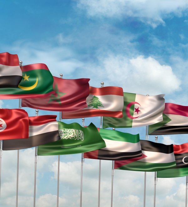 Arab League Flags
