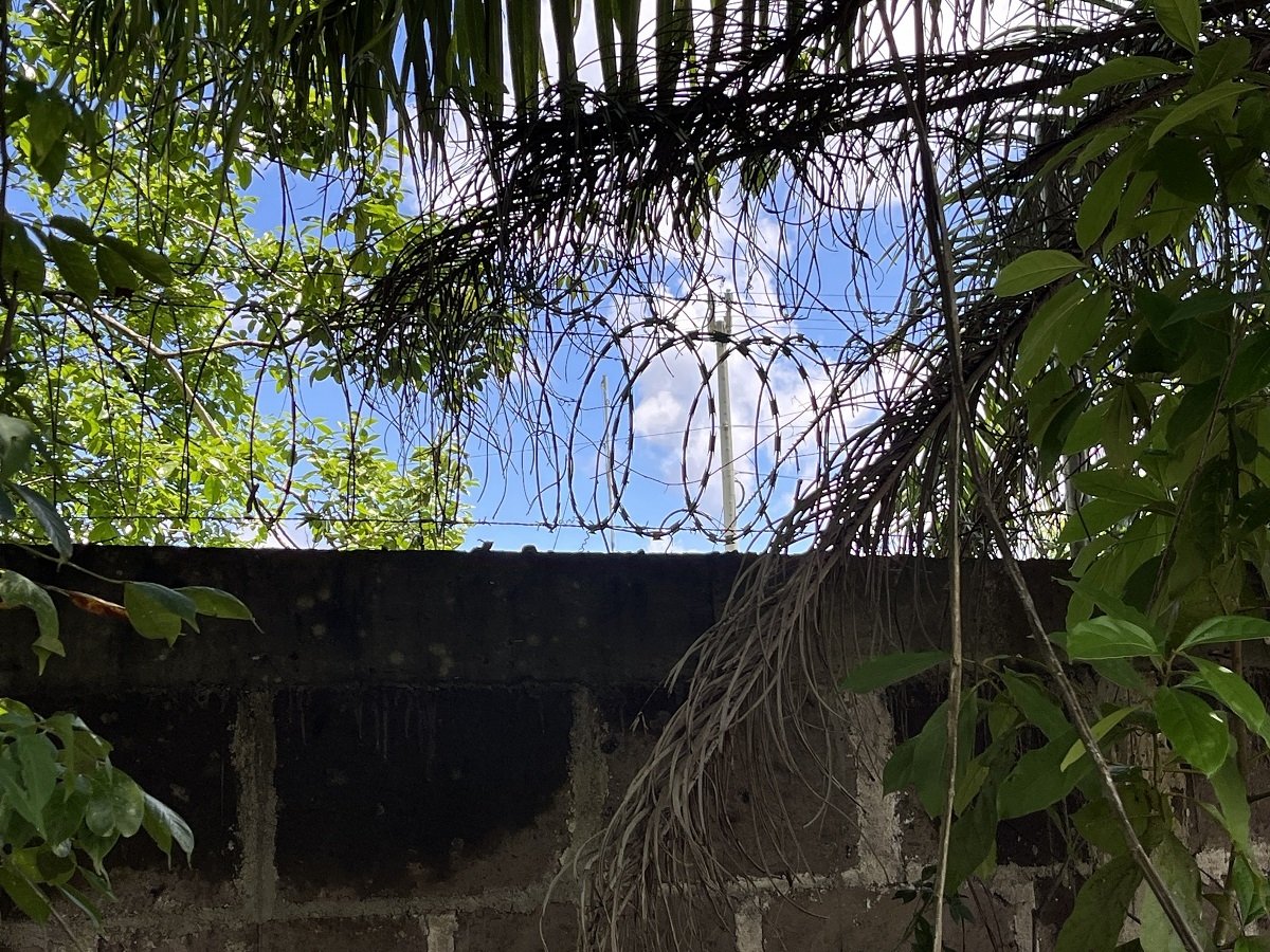 Barbed Wire