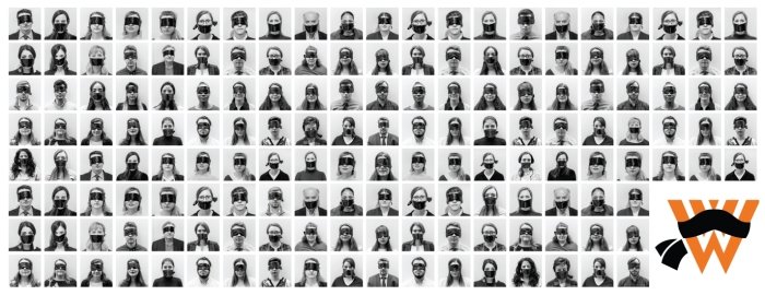 Header Image - Gender Based Violence Project