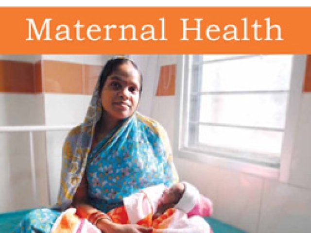 Delivering Success: Scaling Up Solutions for Maternal Health