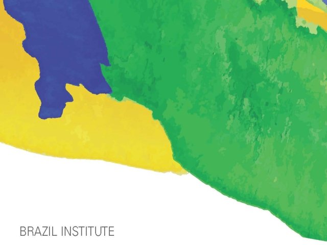Image - Brazil Institute Annual Report 2019