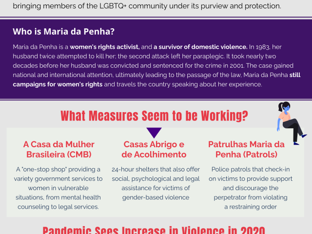 Maria da Penha Infographic
