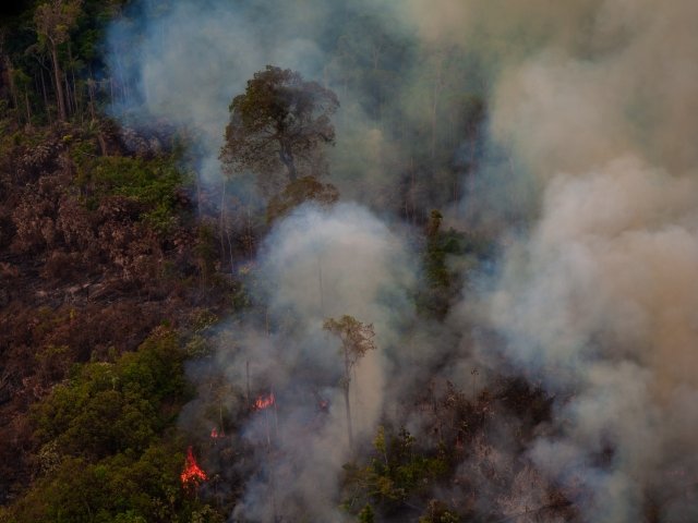 Image- Fire in the Amazon