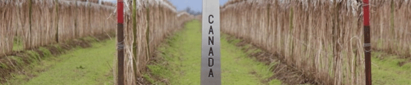 Canada Border Marker