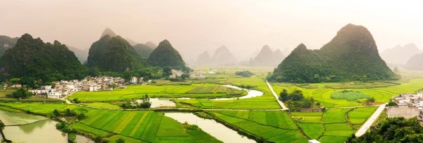 china green agriculture 