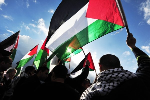 People Holding Palestinian Flags