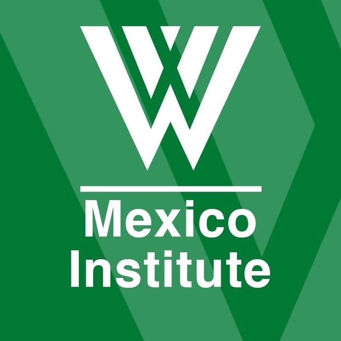 Mexico Institute's Statement on the Severe Earthquake in Mexico