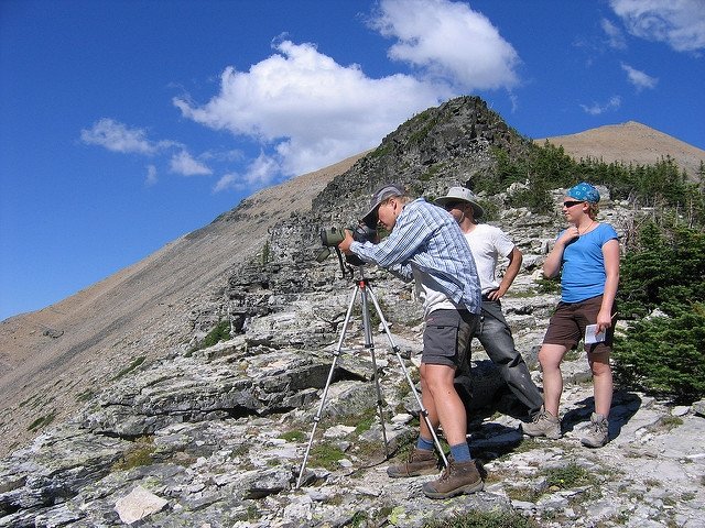 Citizen Science Terminology Matters: Exploring Key Terms