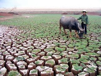 CEF Director Quoted in E&E Report:China will need more than infrastructure to meet water scarcity