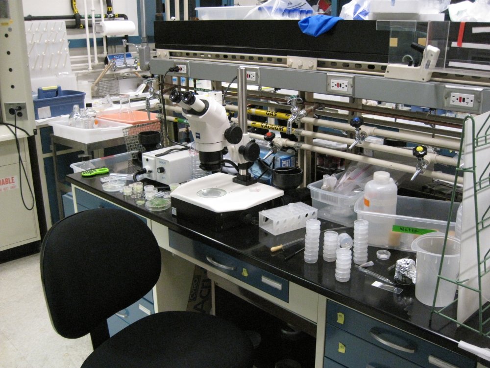Focus Groups Tackle Synthetic Biology