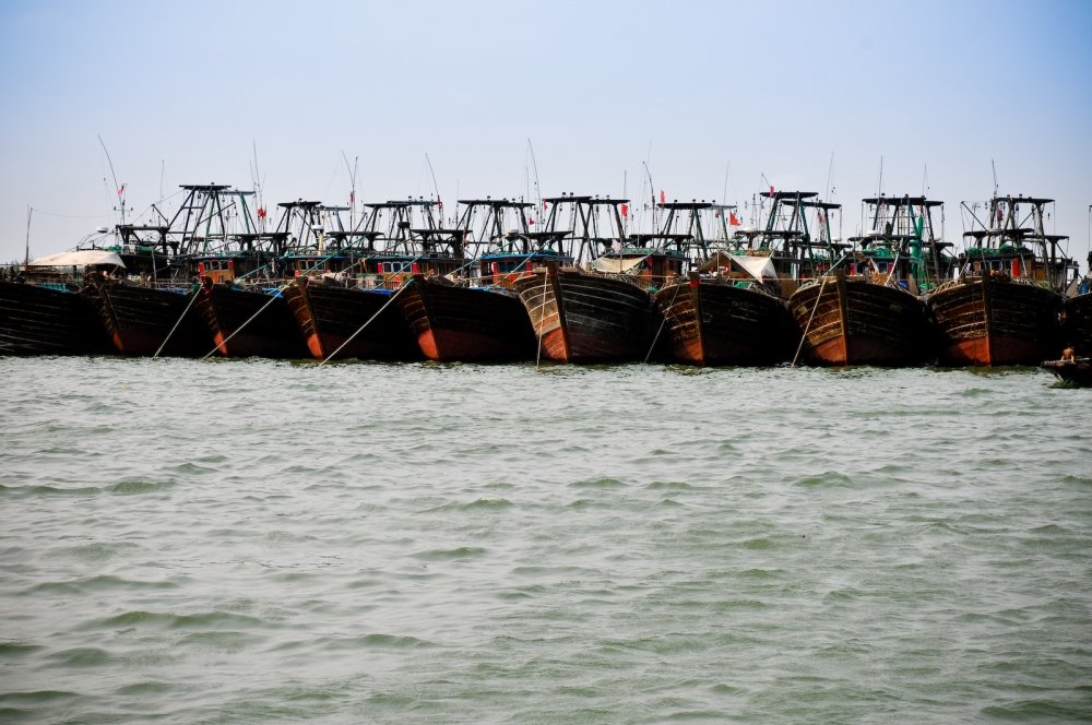 Sustainable Fishing and Ocean Preservation