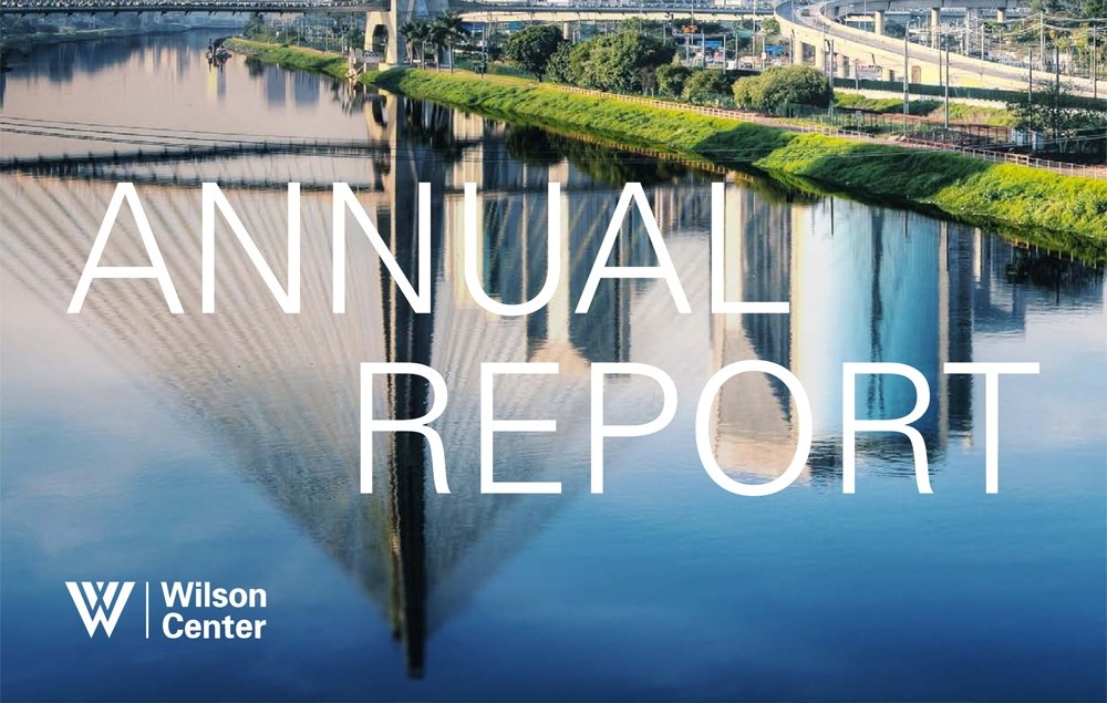 Brazil Institute Annual Report 2014