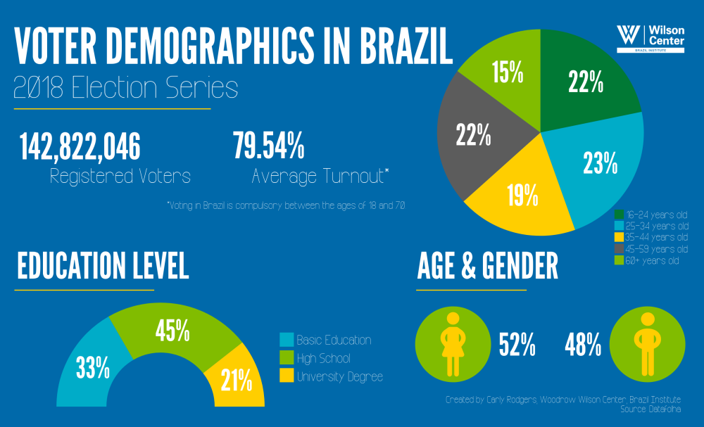 Voter Demographics in Brazil