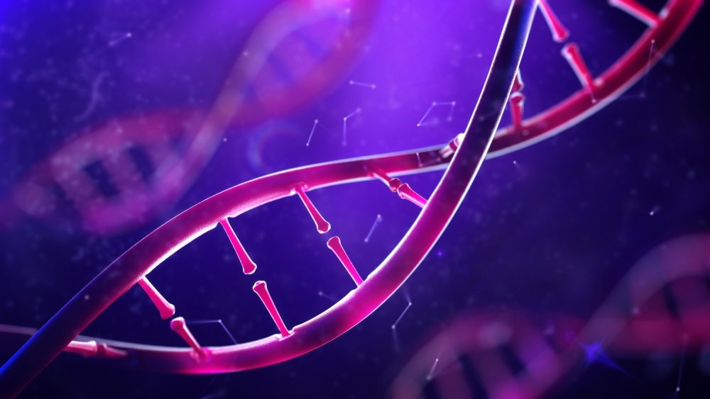 TED Video: The Promise and Perils of DNA Editing