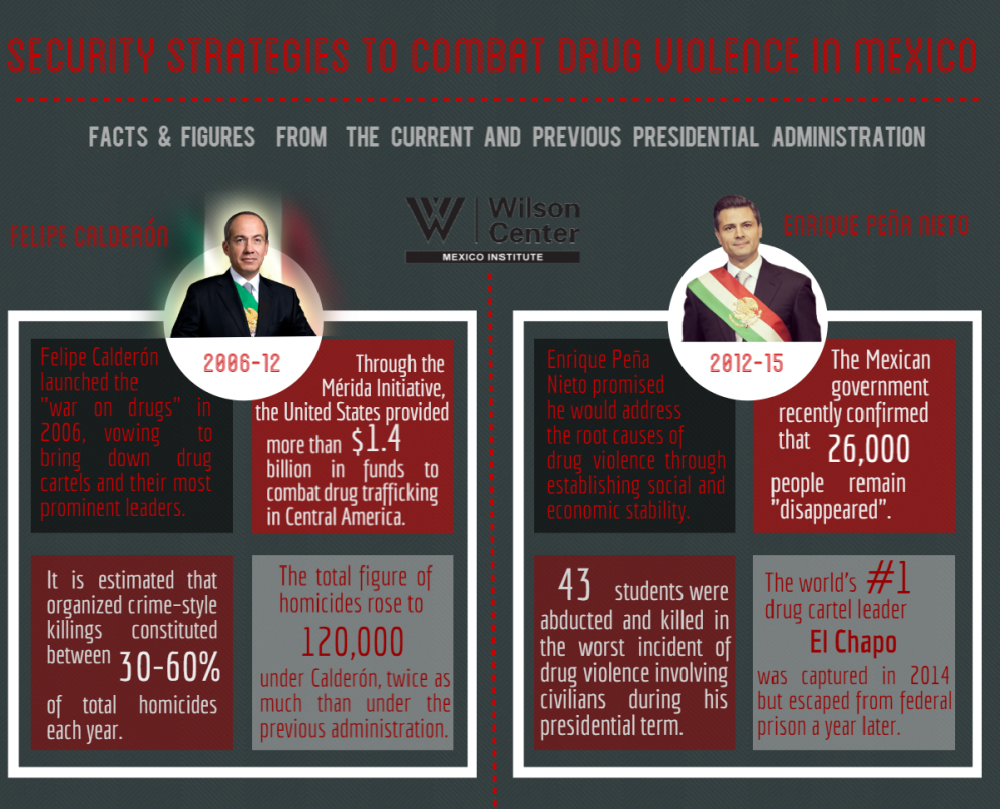 Security Strategies to Combat Drug Violence in Mexico