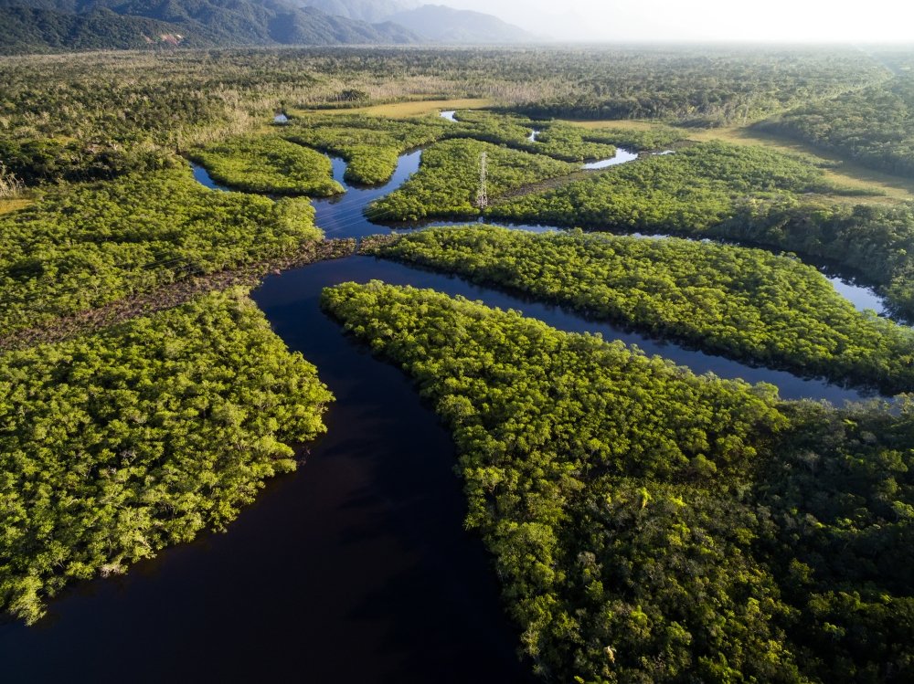 Environmental Concerns - Brazil 2018 Understanding the Issues