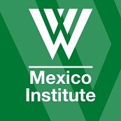 CALL FOR APPLICANTS: Internship with Former U.S. Ambassador to Mexico Earl Anthony Wayne