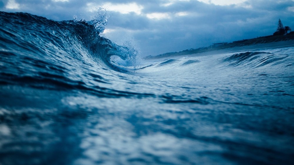 The Water Planet: Managing Earth’s Most Precious Resource