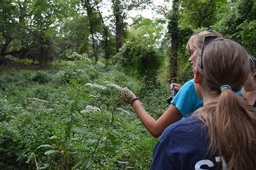 Concept Note: Citizen Science Global Partnership