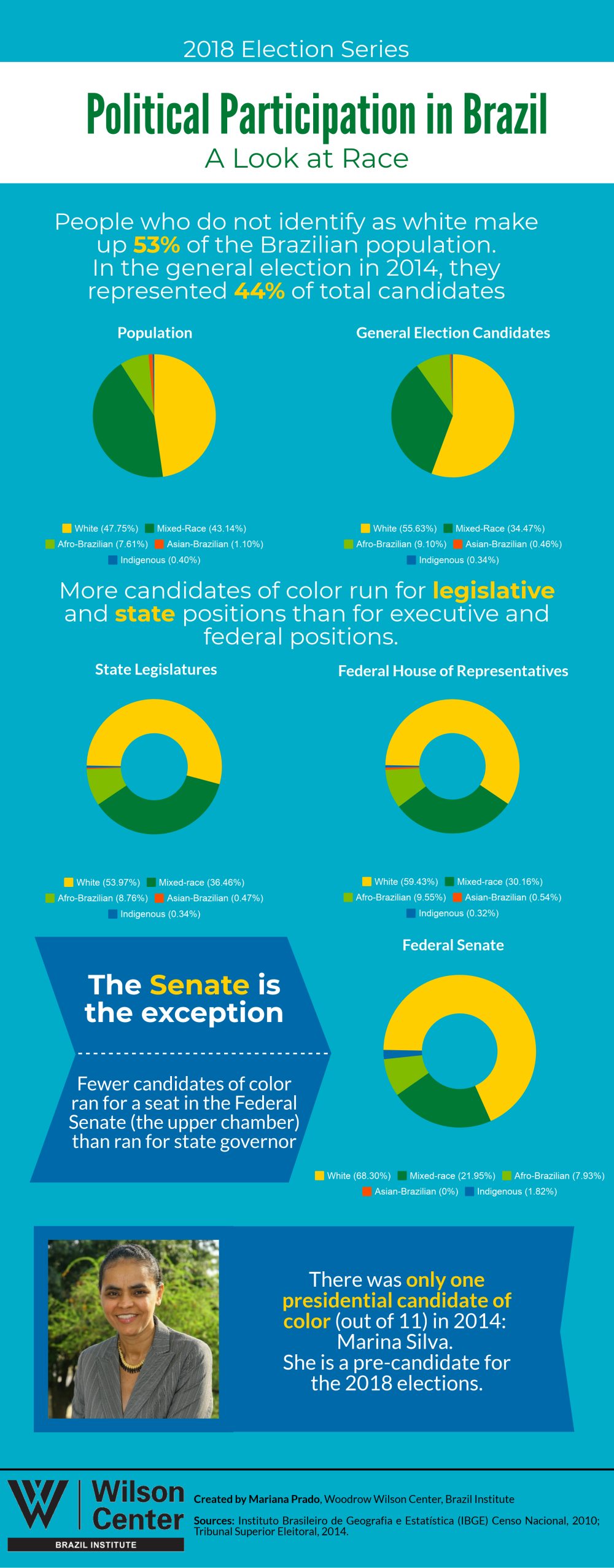 Political Participation in Brazil: A Look at Race