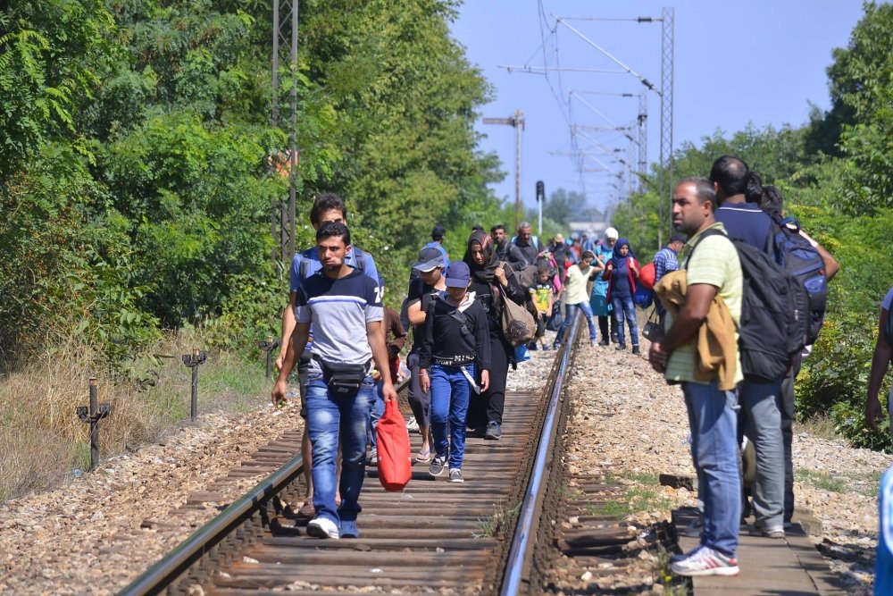 Fences of Fancy: The Refugee Crisis in Europe