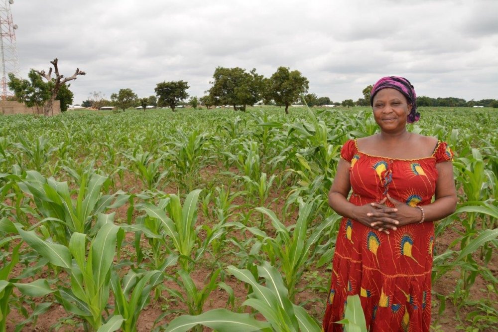 Plan for Boosting Ghana’s Agricultural Productivity