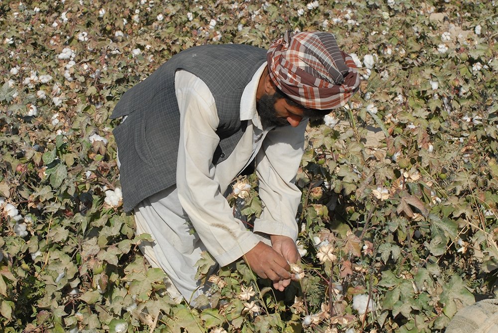 Event Recap: What's Next for Afghanistan's Economy?
