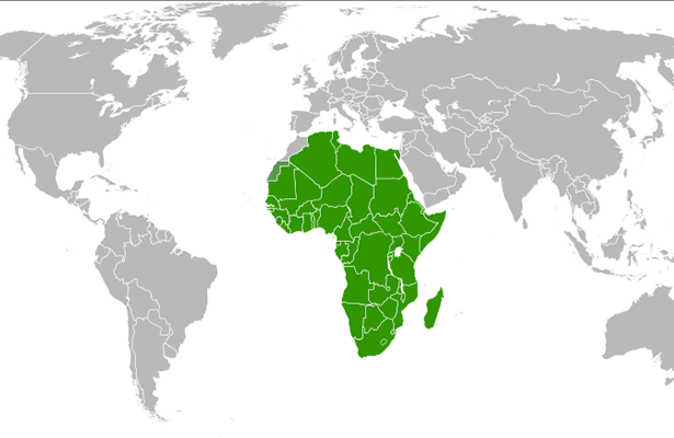 African Union 615w (att Georgeson)