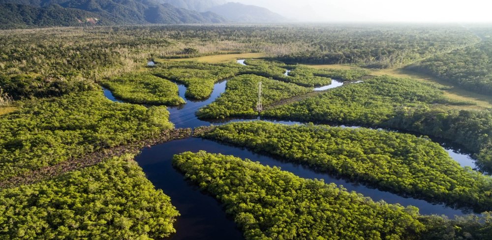 What’s at Stake in Brazil’s Election? The Future of the Amazon