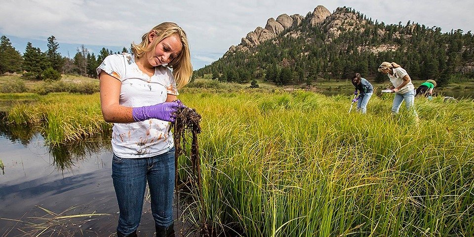 Citizen Science and Environmental Monitoring: Reflections on NEMC 2017