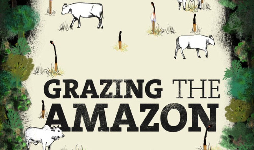Award-Winning Film Explores Deforestation and Cattle Industry in the Brazilian Amazon