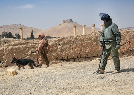 Russian sappers clear Palmyra its recapture in March 2017 (mil.ru)