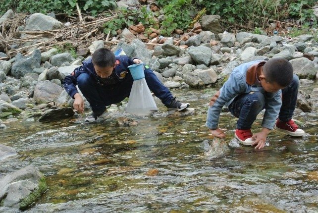 Photo Credit: Green Camel Bell project in Gansu Wen County, provided by Green Camel Bell.