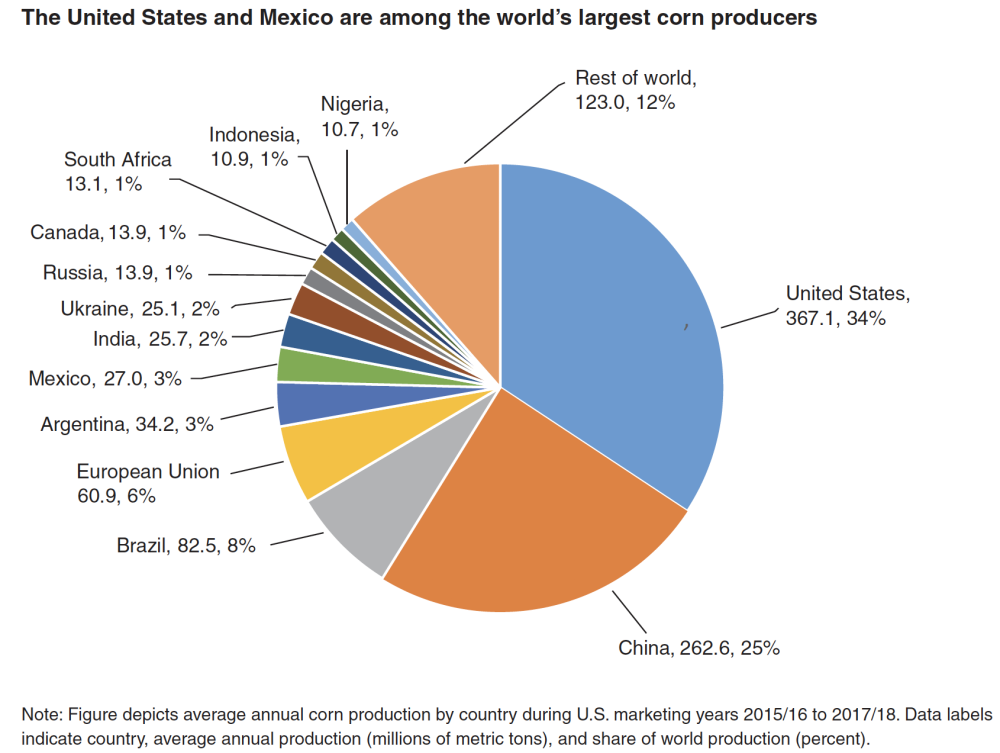 corn production