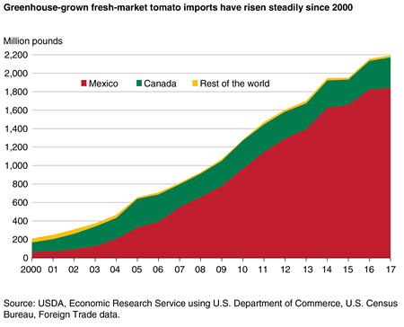 Greenhouse-grown fresh-market tomato imports