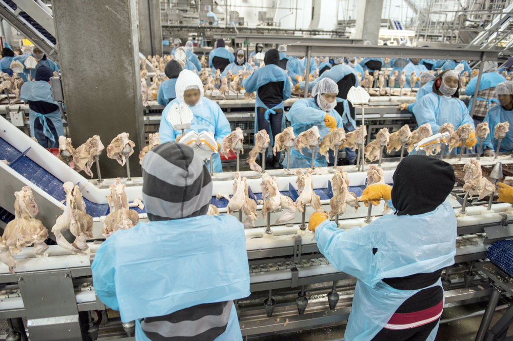 orkers in cold food processing plants