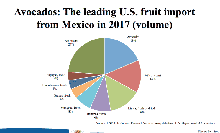 Avocados: The leading US fruit import from Mexico in 2017 (volume)