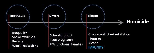 Pathway to Homicide