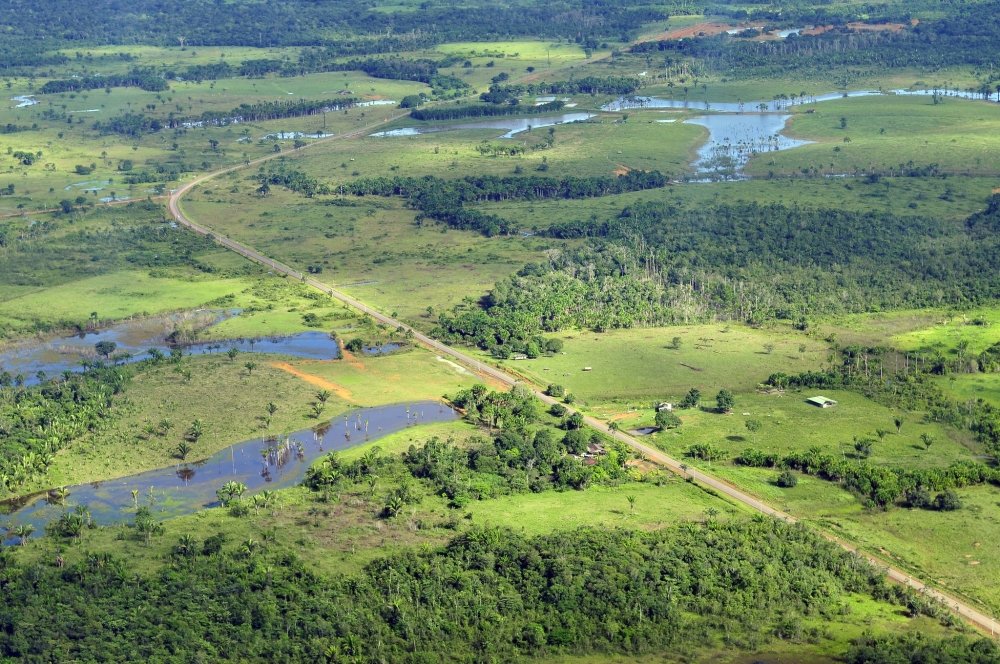 Aerial view of the Amazon Rainforest, near Manaus