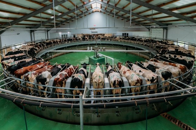 dairy carousel