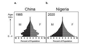 Age Structures for China, 1985 and Nigeria, 2020. 