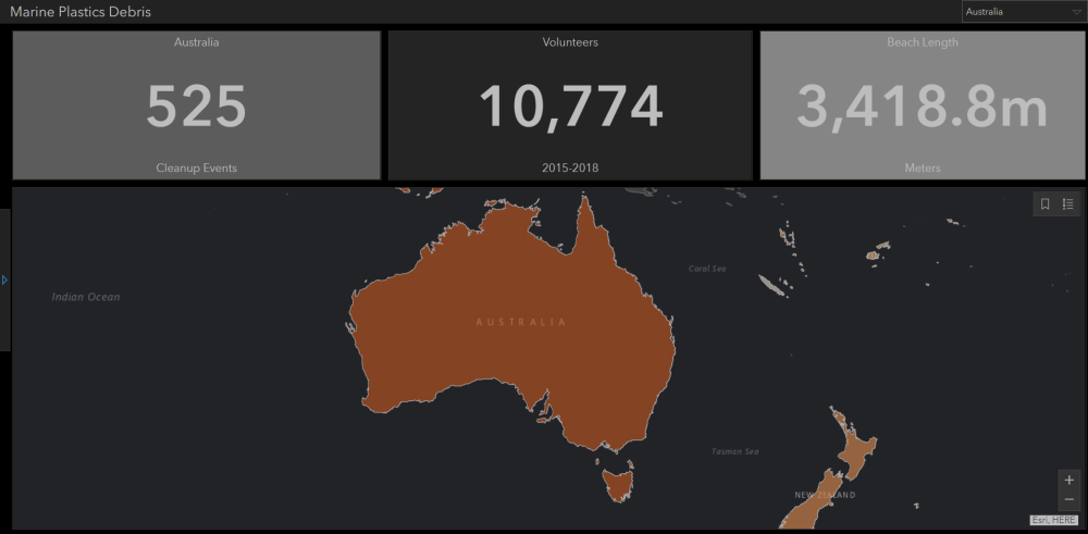 A snapshot of the user interface for Earth Challenge