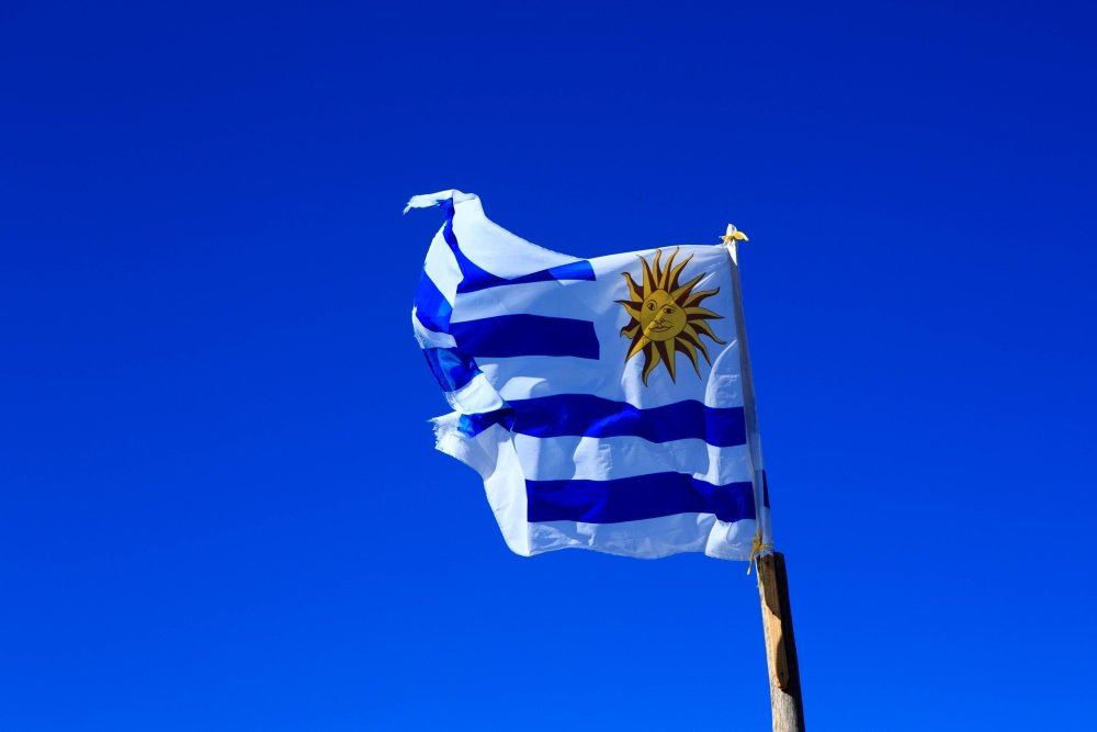 Image - Uruguay flag