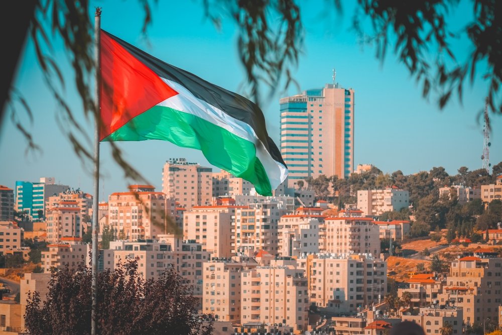 MEP_Palestinian Flag