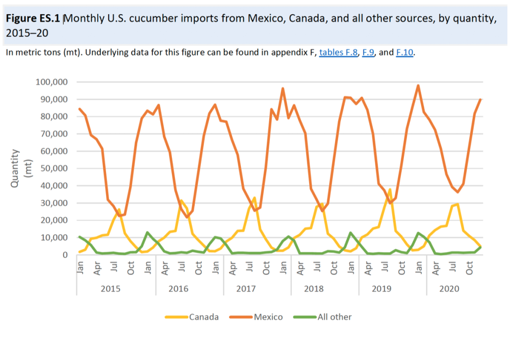 Chart on North American cucumber imports