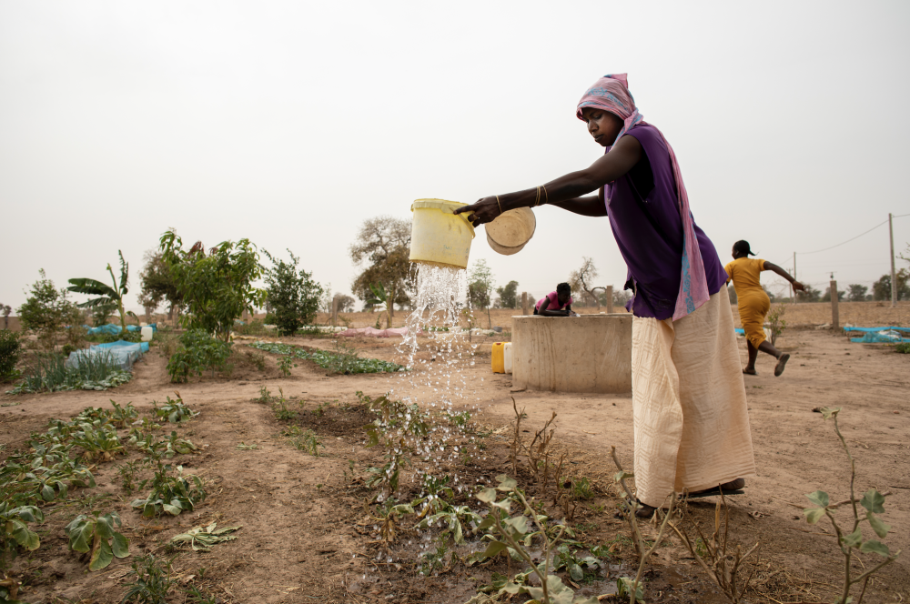 Woman watering crops in Senegal.