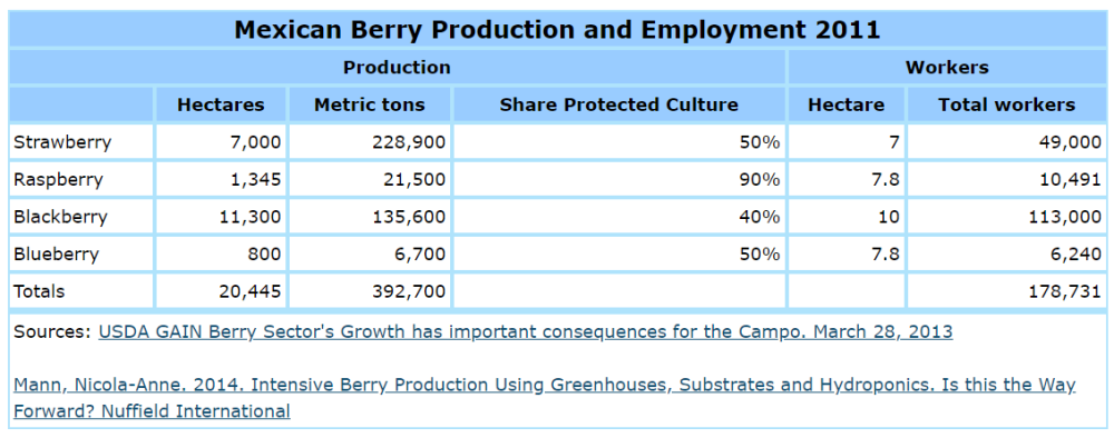 Mexican Berry Production and Employment 2011