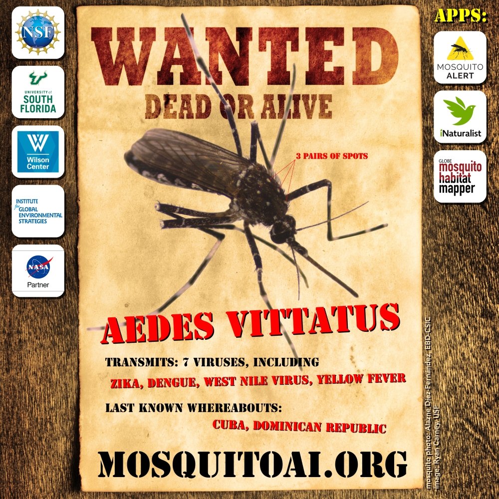 Mosquito Wanted Poster