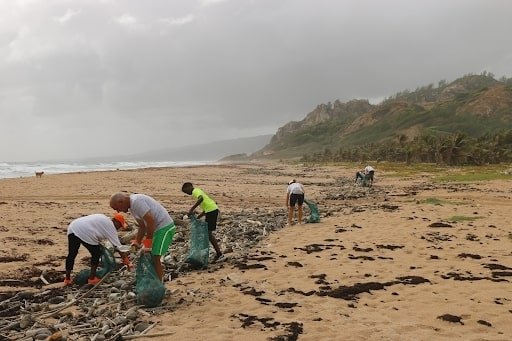 People picking up plastics on beach