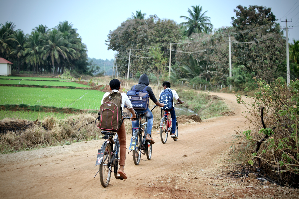 South Indian village children(friends) are going to school by bicycles(cycles or bikes) on a mud road in a nearby village